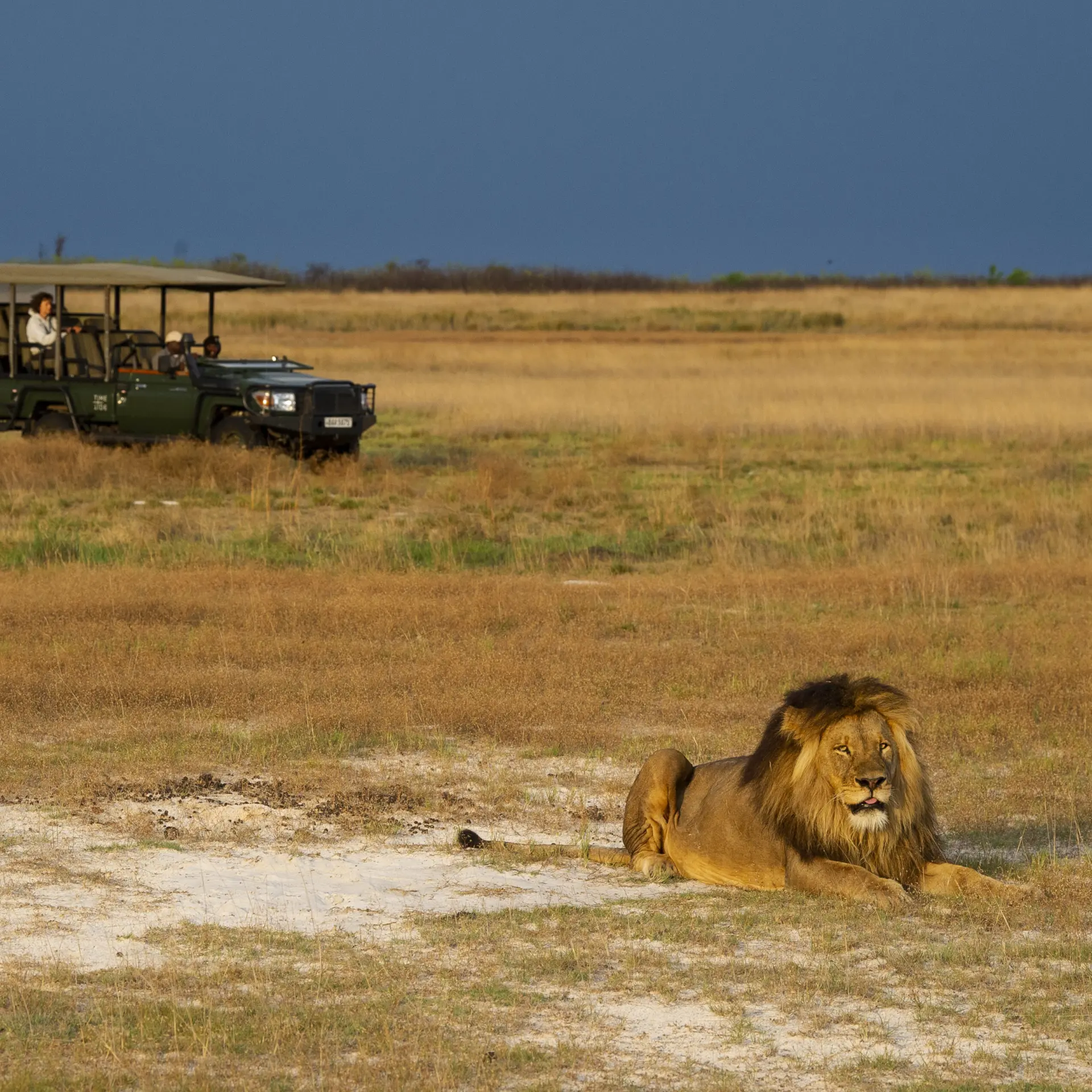 Conservación de la biodiversidad en el Parque Nacional de Liuwa, Zambia. Ariadne Van Zandbergen 67