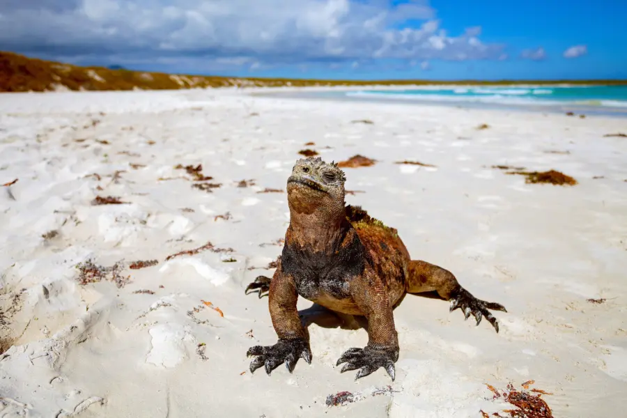 Galápagos21