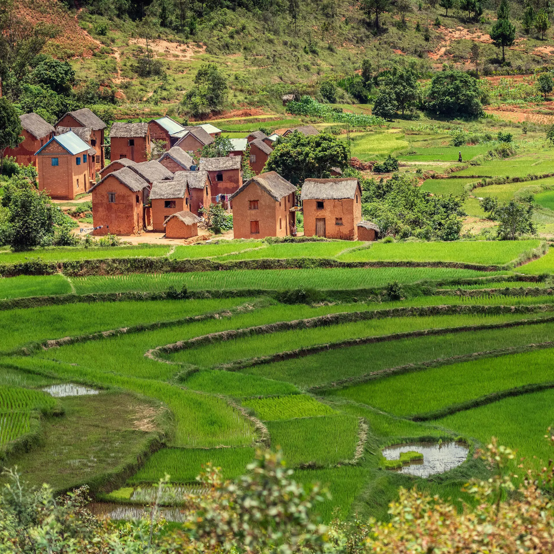 Avila Travel paisaje madagaskar