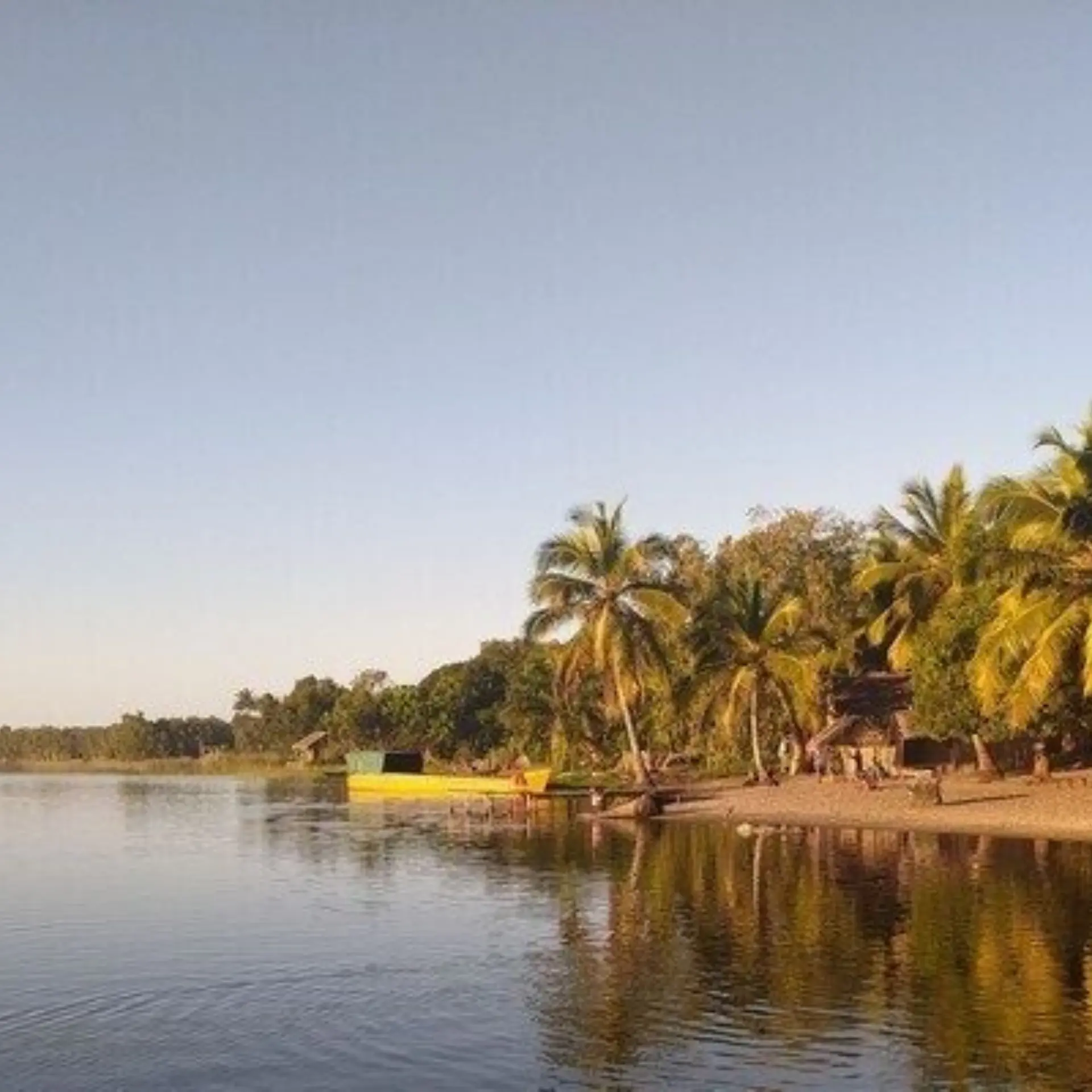 La reserva palmarium 2