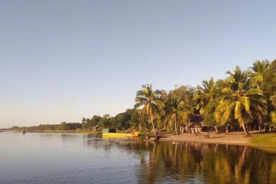 La reserva palmarium 2