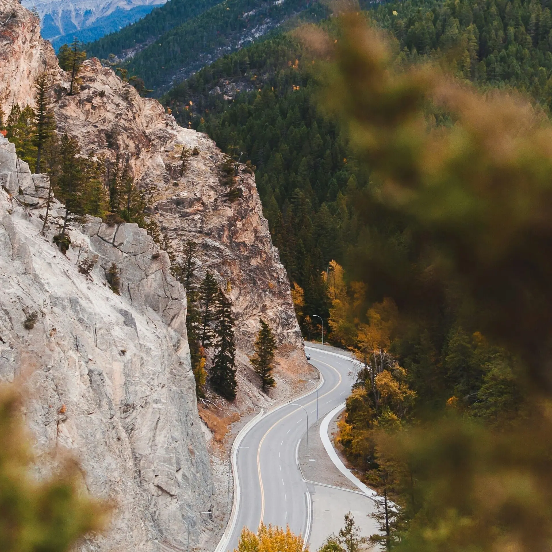 Max larochelle 85ftjzue4kk unsplash1