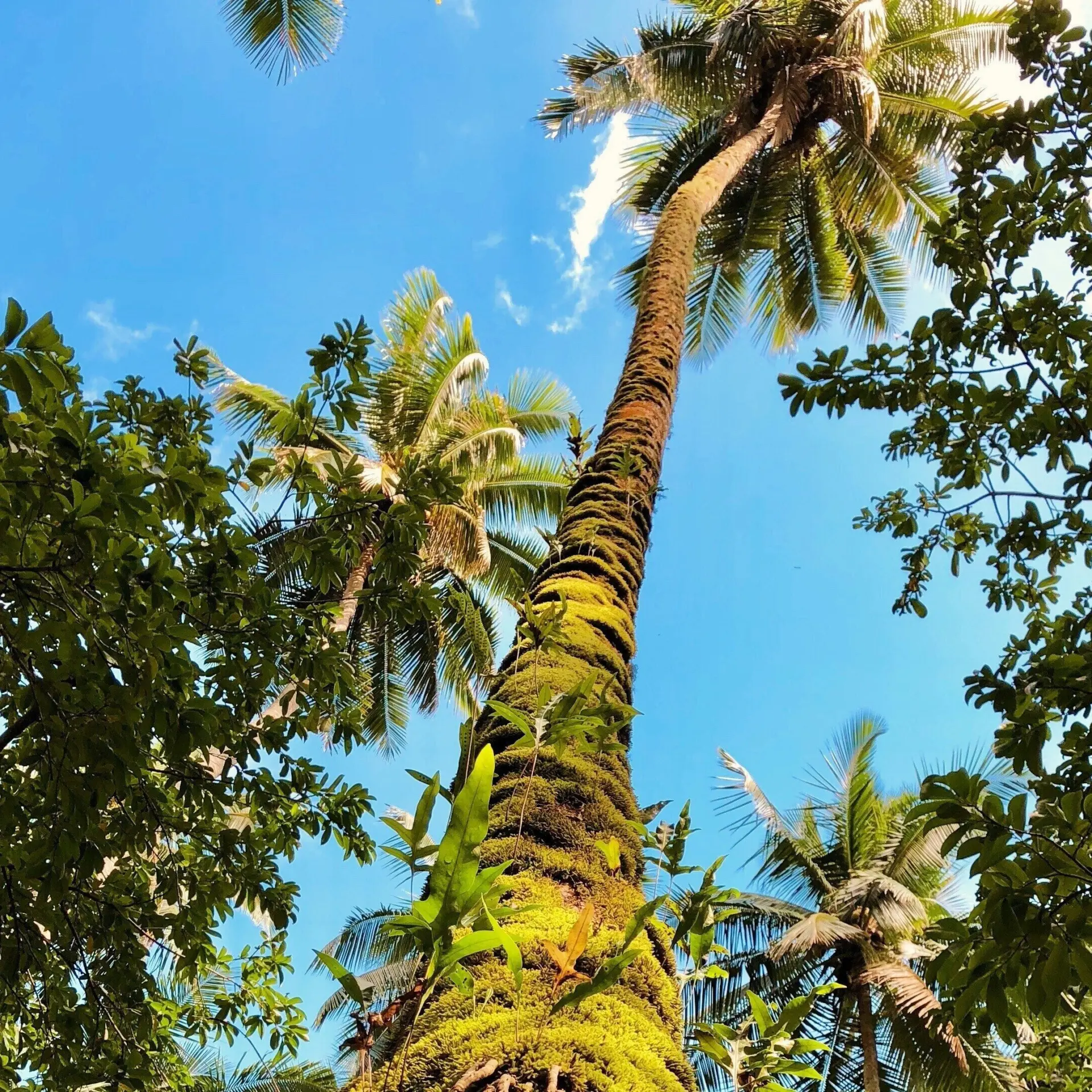 Reiseuhu c Wyu Wv52rx Y unsplash