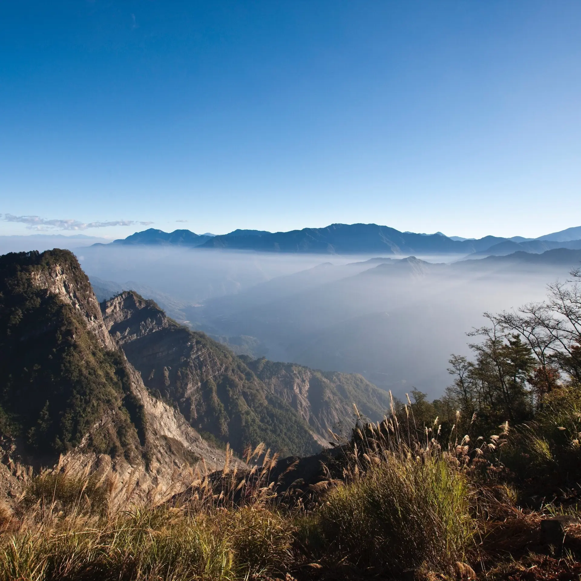 Avila Reizen Taiwán Alishan
