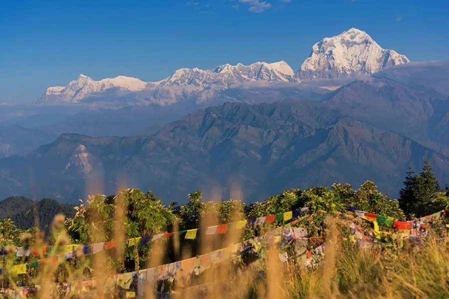 Poon hill trek 41