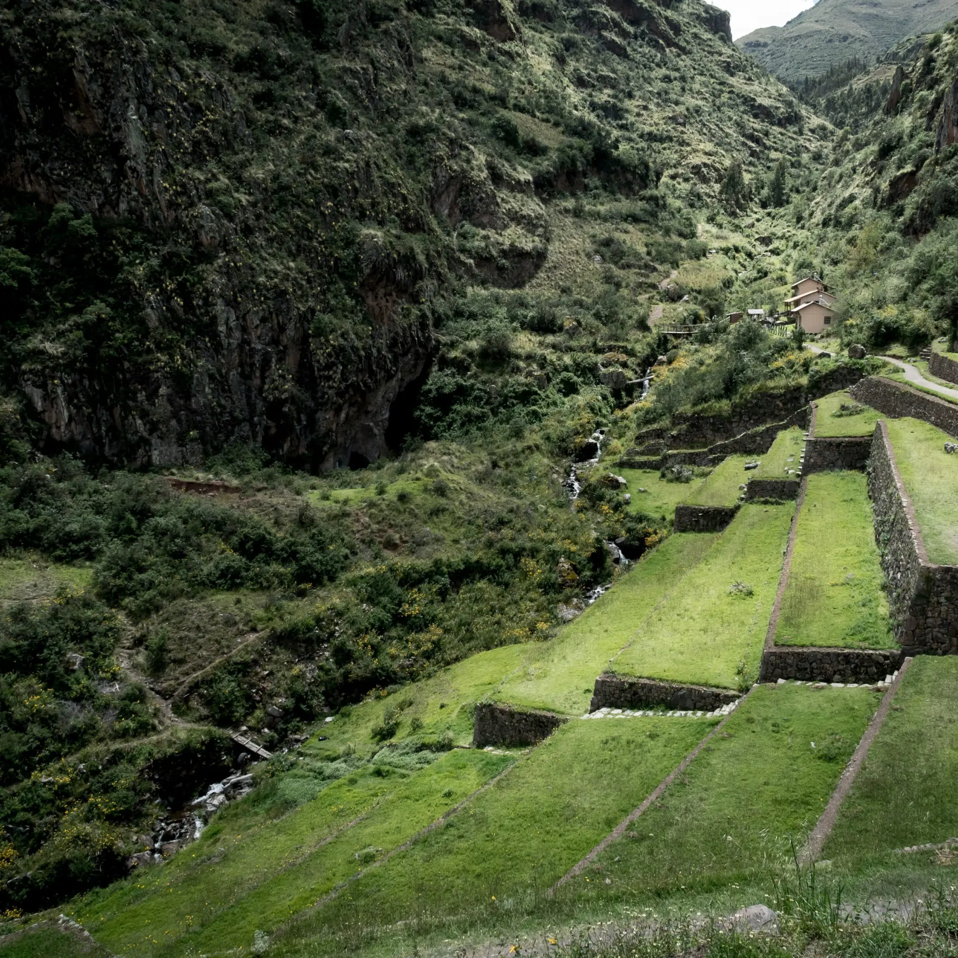 Willian justen de vasconcellos mei6l xwexa unsplash