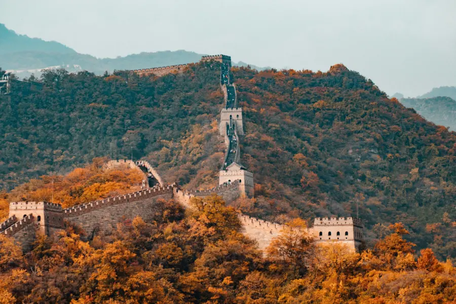 Hanson lu 8efj6isa08 unsplash