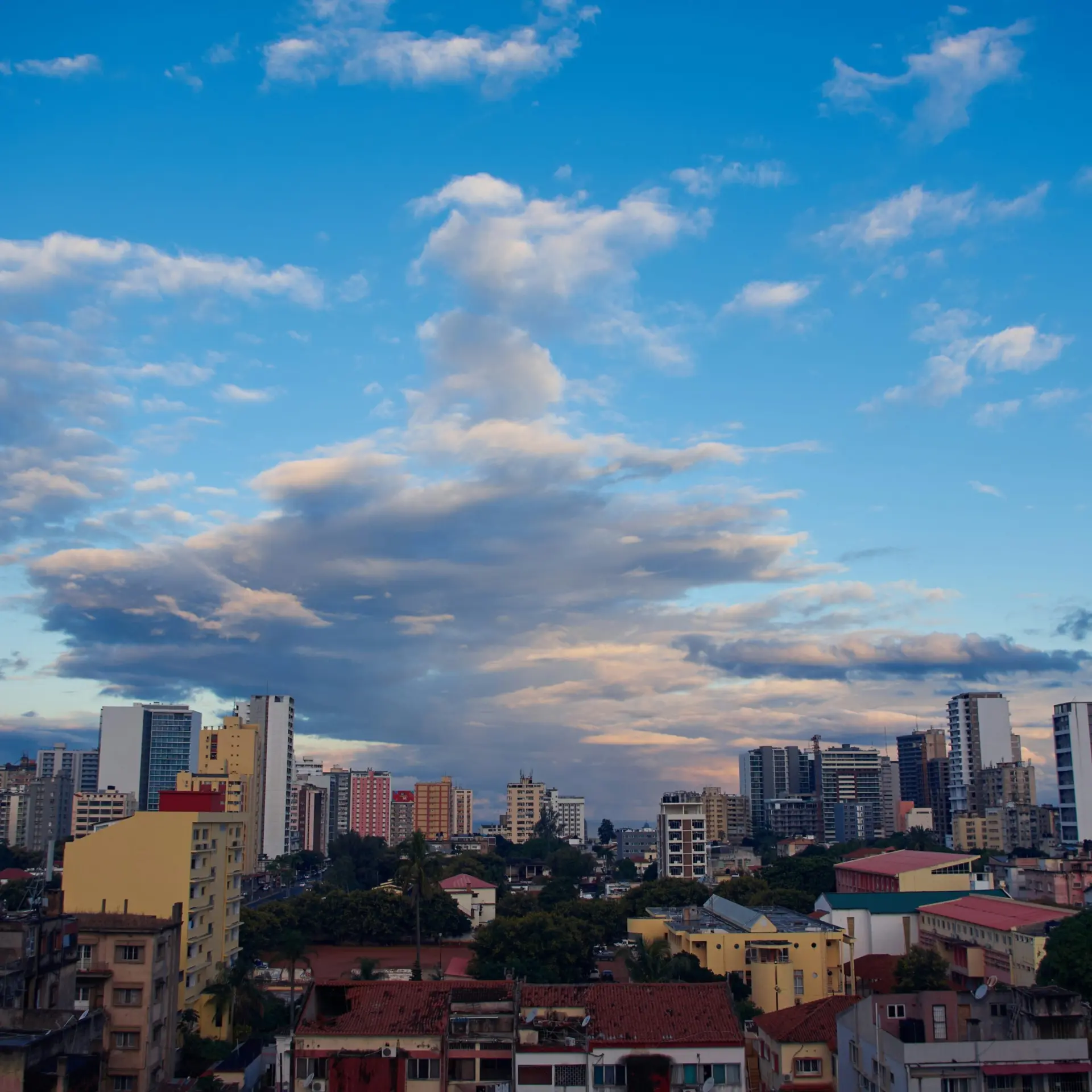 Shiu tang dptaryv8ye0 unsplash