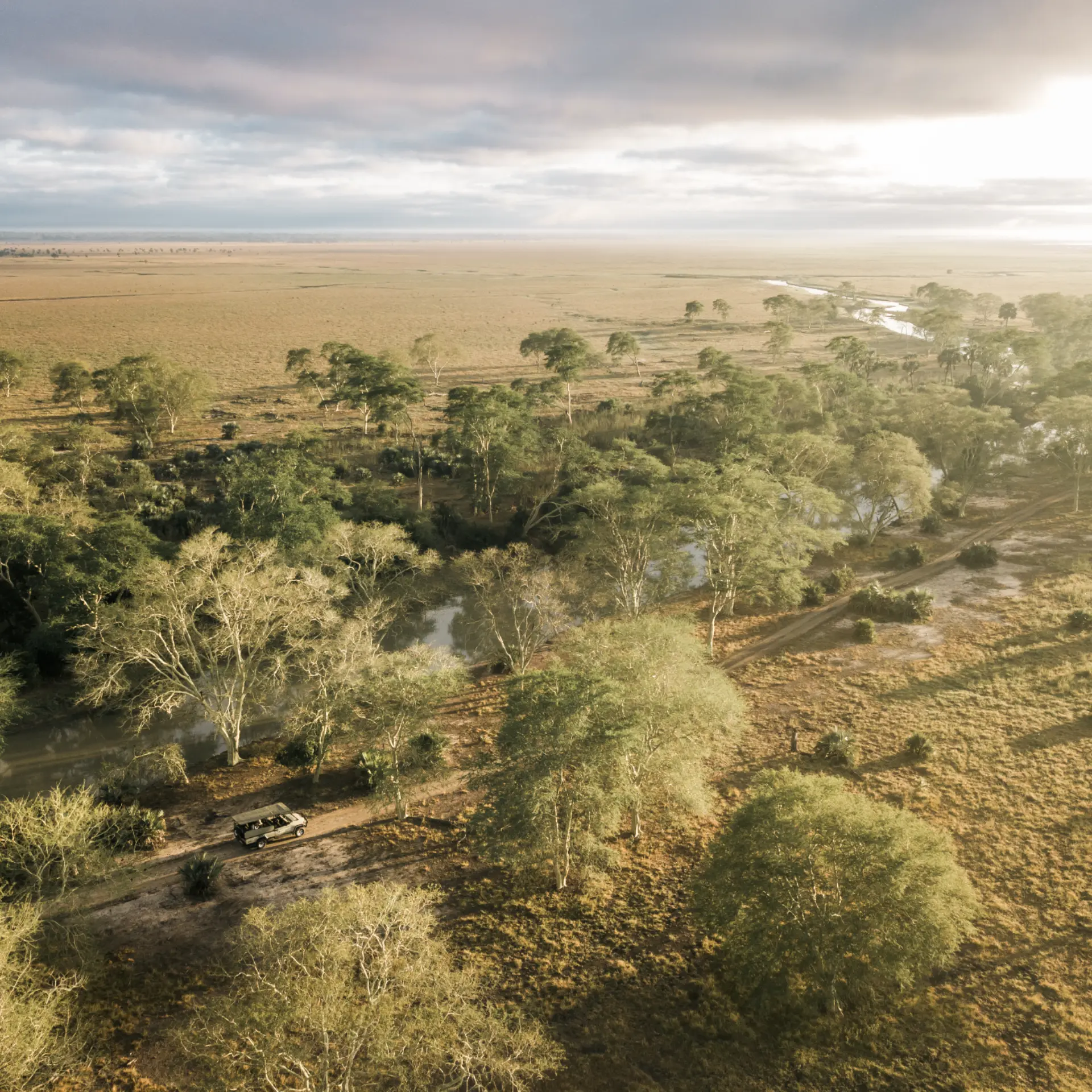 1752756187011 Safaris por Gorongosa 42