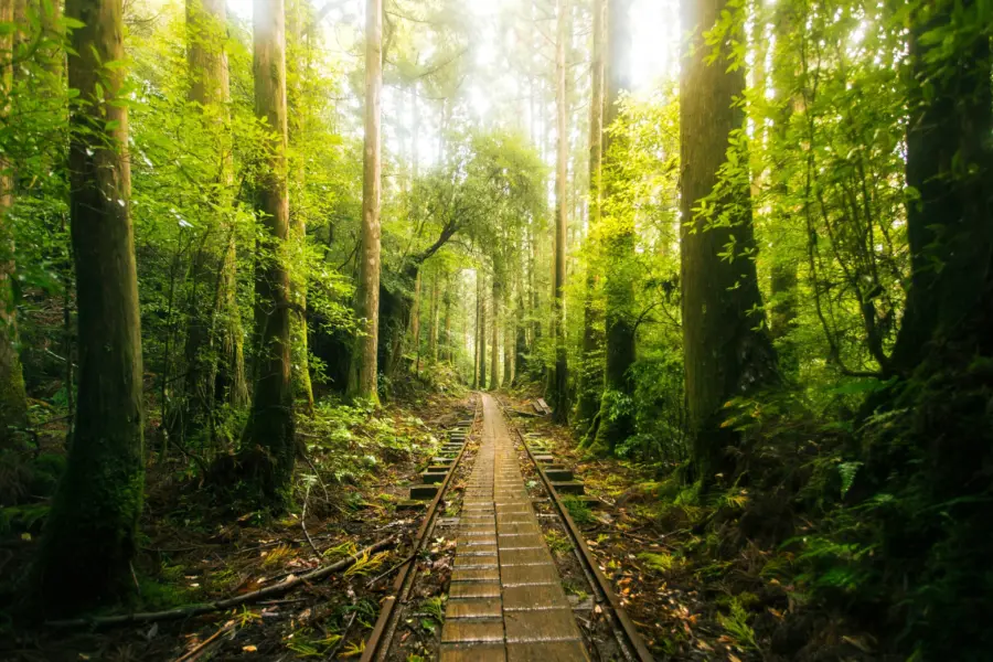 Marek Piwnicki h5cfbkv5czo Unsplash