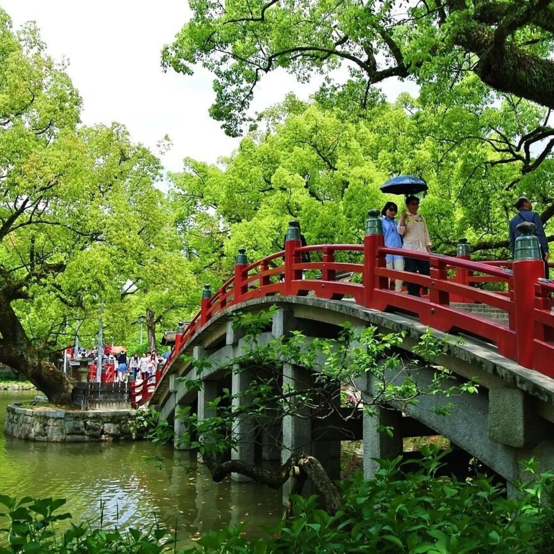 Bridge 5472841280