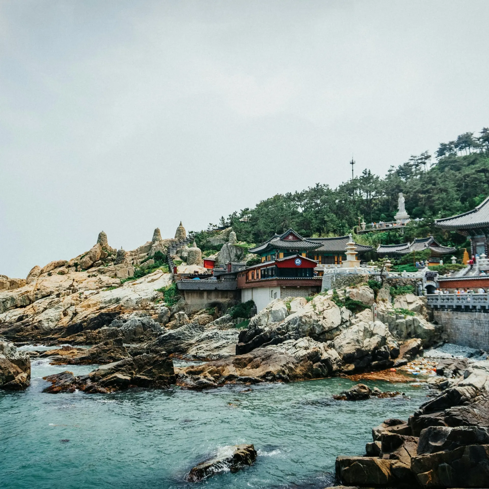 Thomas Roger Lux xraepmp9m8s Unsplash1