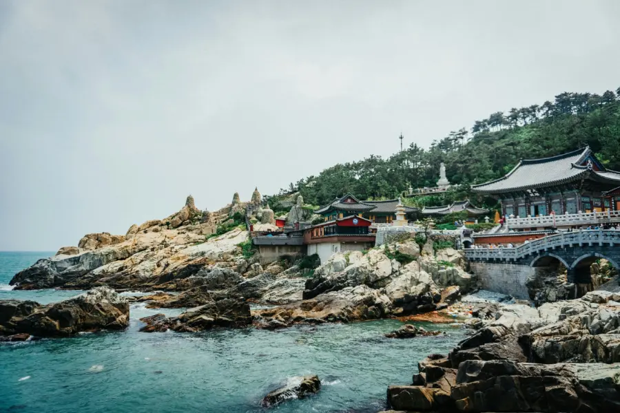 Thomas Roger Lux xraepmp9m8s Unsplash1