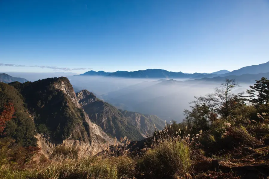Avila Reizen Taiwán Alishan