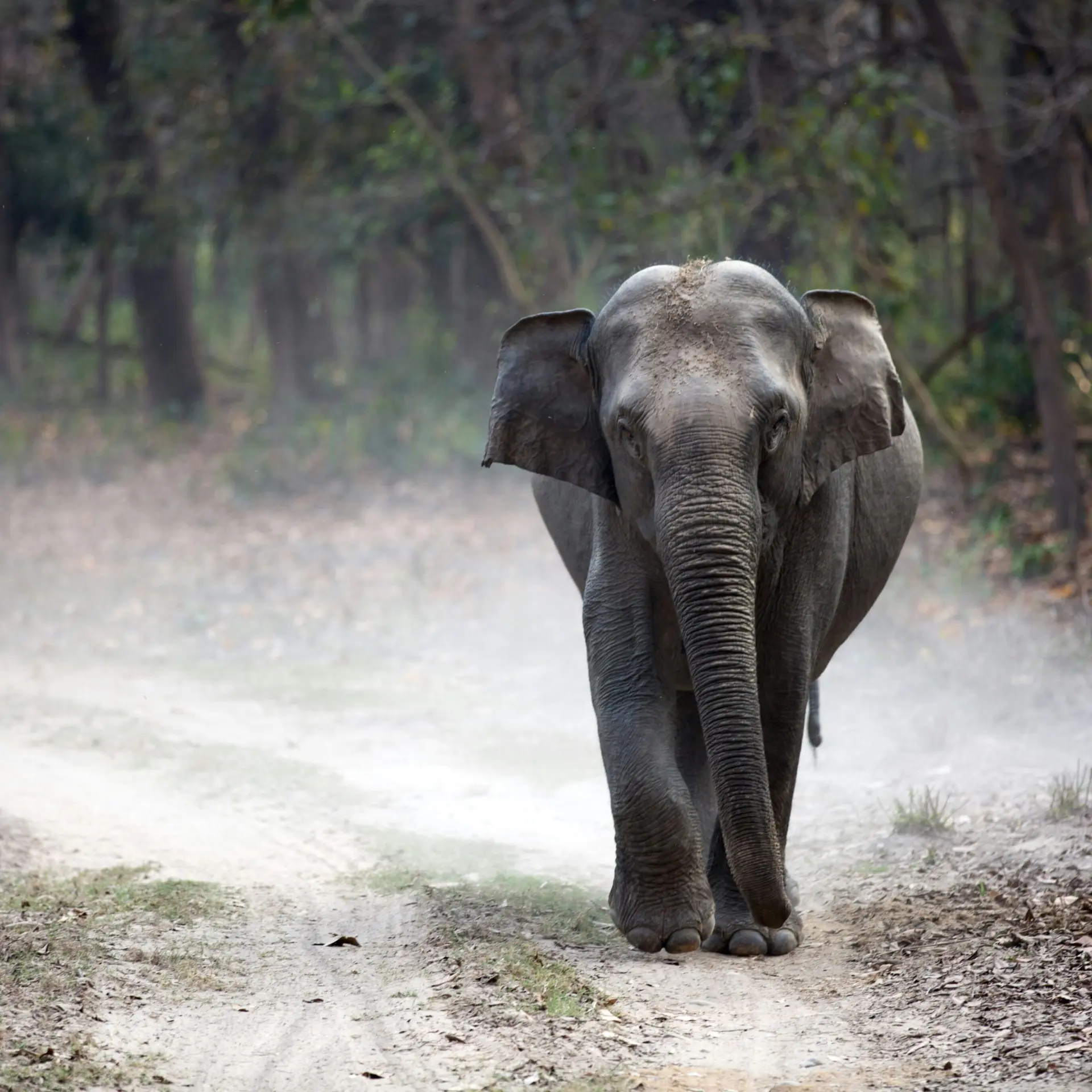 Gautam Arora dcnhbvhm2w8 Unsplash