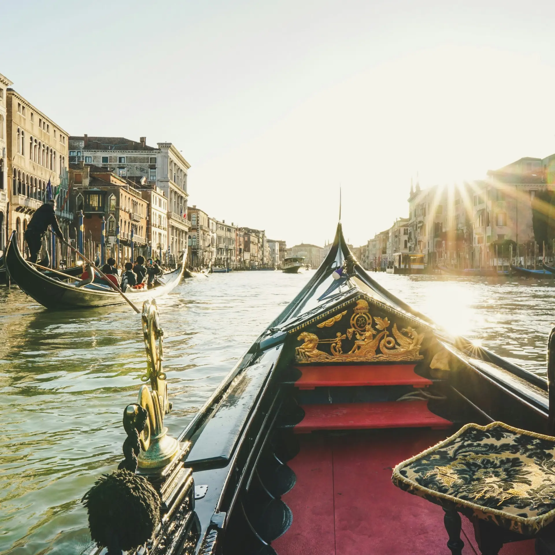 Diego Gennaro v92cqegtuos Unsplash