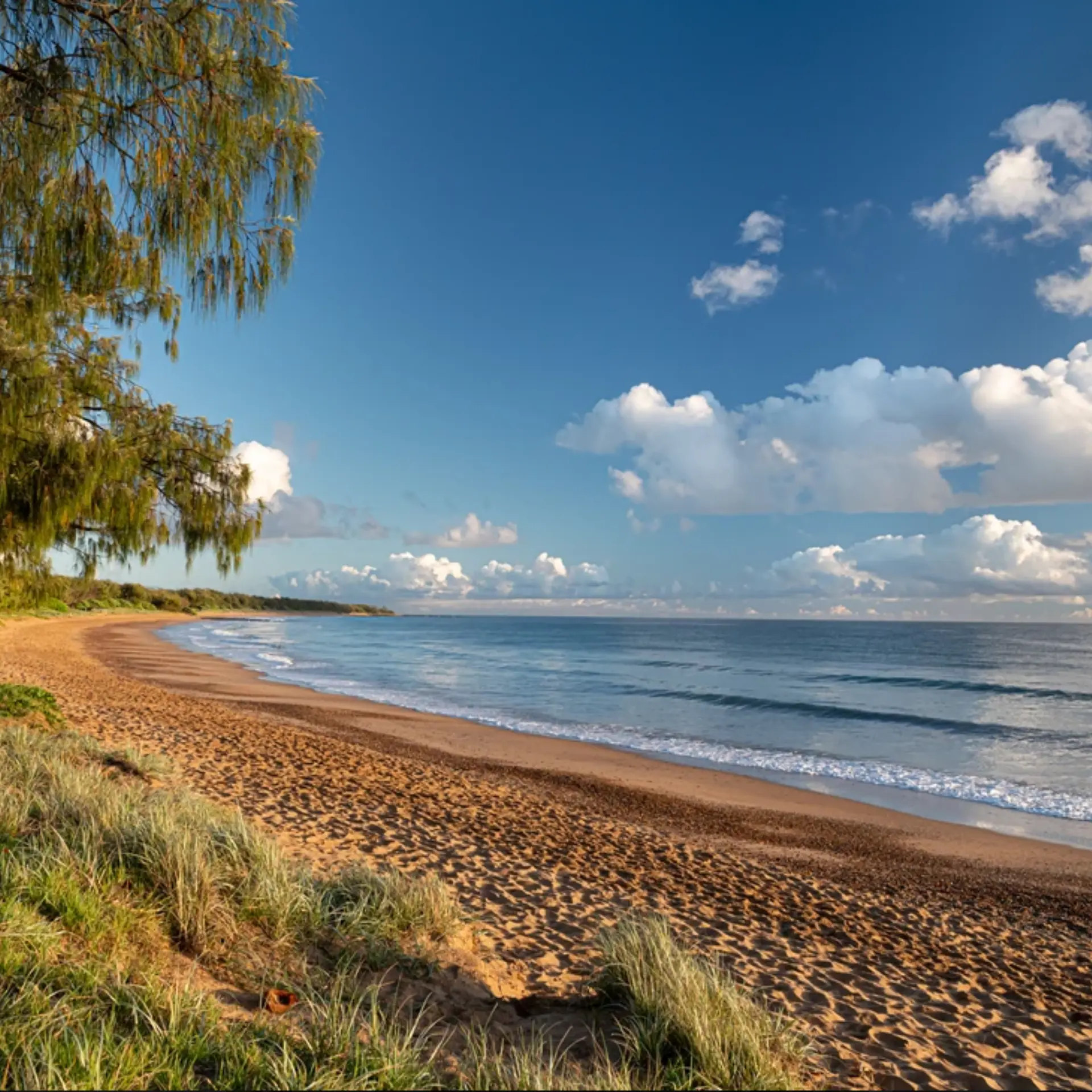 Bargara