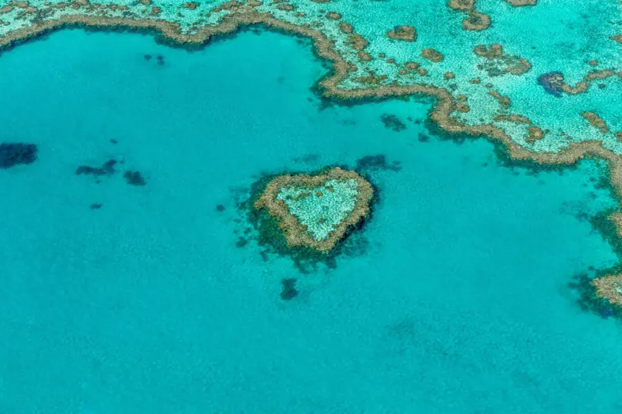 Dean mcquade eybu8mfdzc unsplash