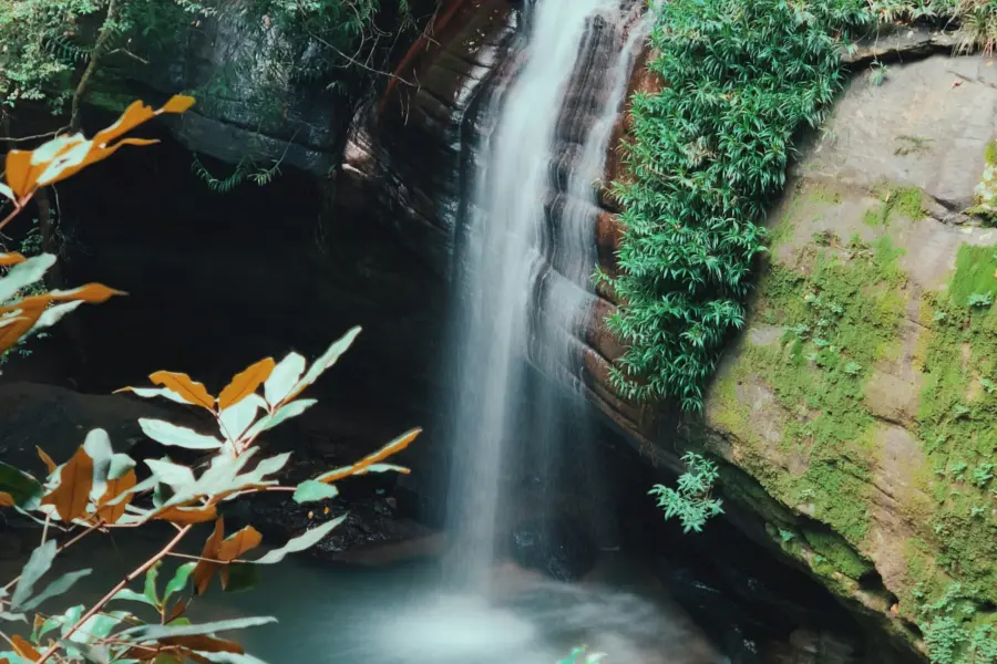 Sebastian hans 47i9lim3bg unsplash